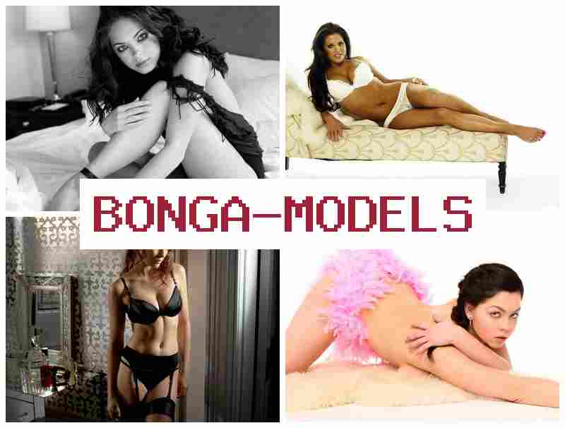 BONGAMOFELS 👍 Disfruta de libertad horaria y pagos semanales con soporte técnico continuo