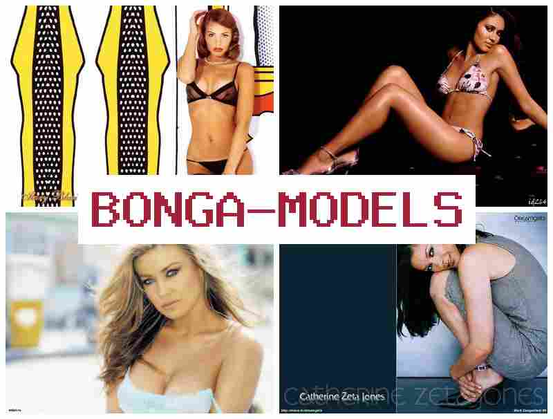 BOMGA MODELS ✔️ Travaillez en toute autonomie avec connexion internet simple