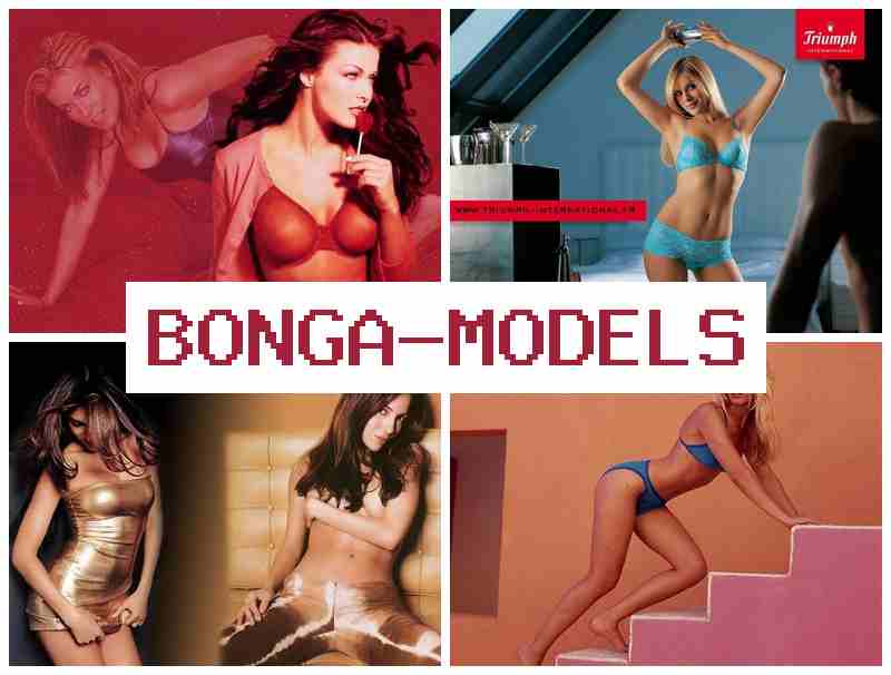 BPNGAMODELS ✔️ Temps de travail au choix et assistance continue pour animateurs webcam