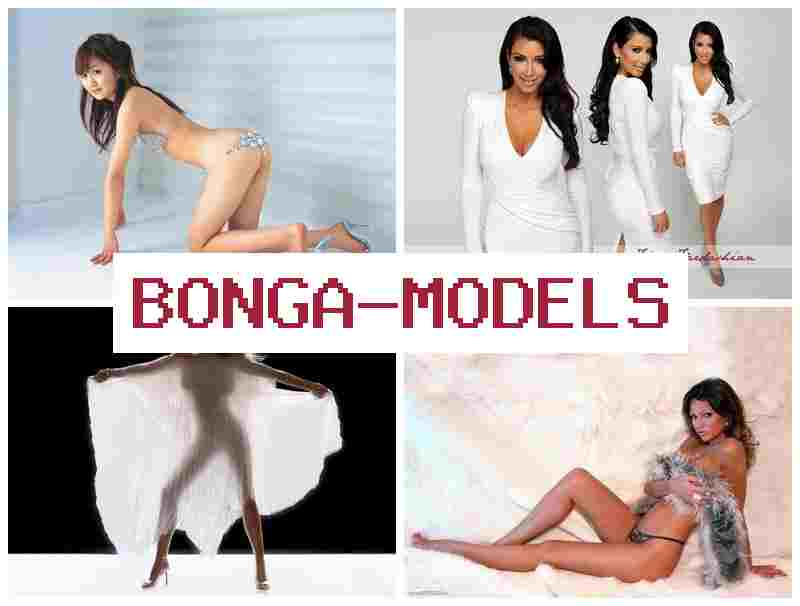 BNGAMODELS 🆗 Offre d’activité en ligne pour personnes dynamiques, prise en main rapide