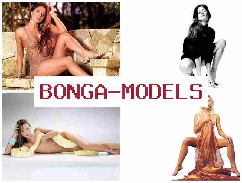 BONGWMODELS 🌐 Démarrez avec votre portable comme animatrice internet à la maison