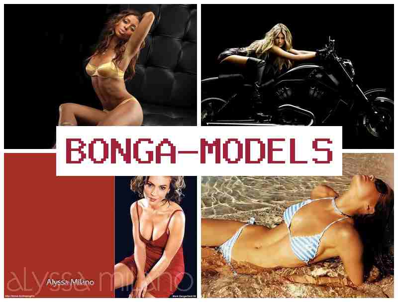 BONGO MODEL 🔔 اسمارٹ فون سے کام کریں، گھریلو کام میں ایکسپیرینس درکار نہیں۔
