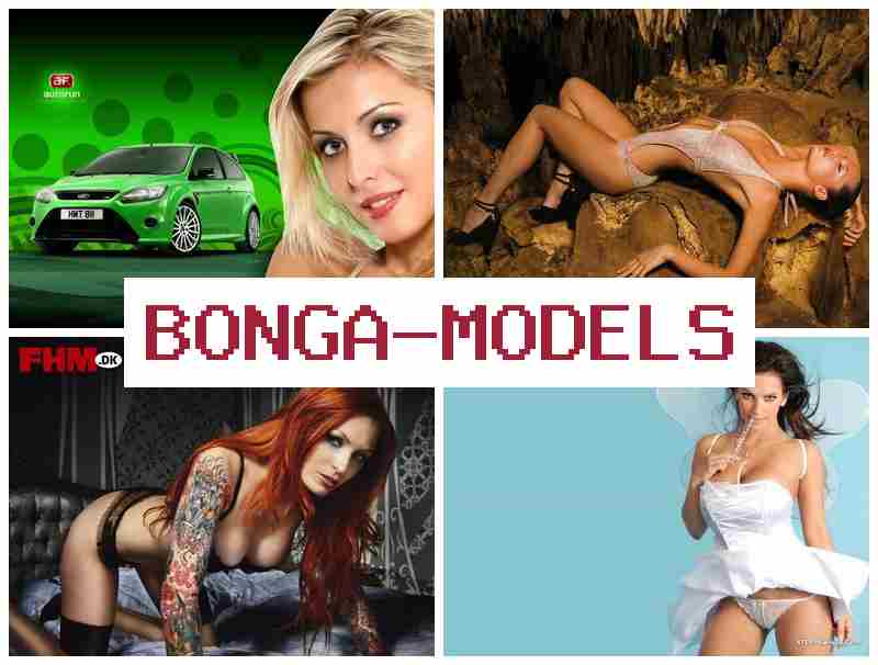 BONGAMOEELS 💻 قانونی کام آرام سے کریں، چوبیس گھنٹے مدد اور آزادانہ اوقات۔