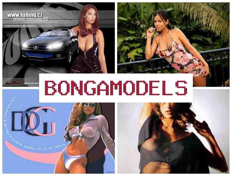BONGA AMODELS ☑️ وظيفة محادثات فيديو من المنزل مع دعم تقني دائم