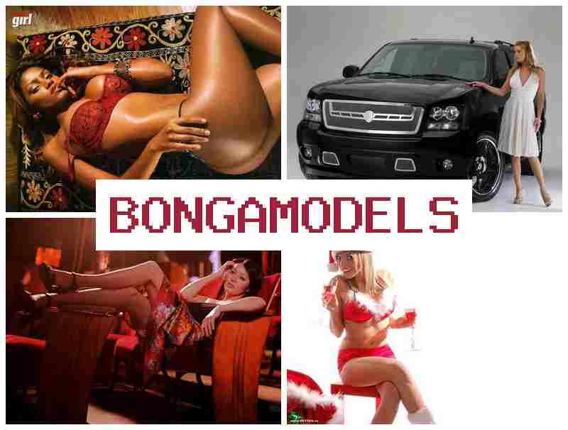 BOHGA MODELS 💲 وظيفة محادثات فيديو من المنزل مع مساعدة تقنية دائمة