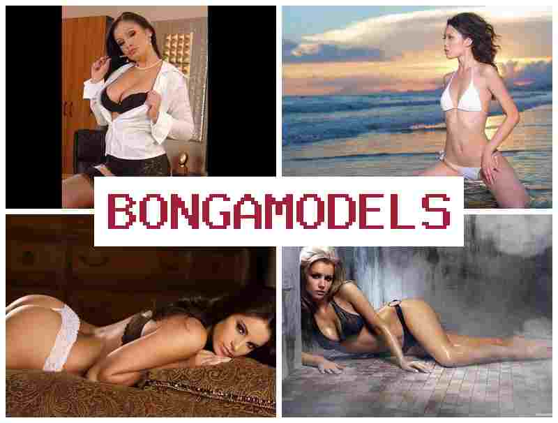 BONGAMODLS 👍 وظيفة بث تفاعلي من المنزل مع جدول عمل حر BONGAMODLS 👍 وظيفة بث تفاعلي من المنزل مع جدول عمل حر