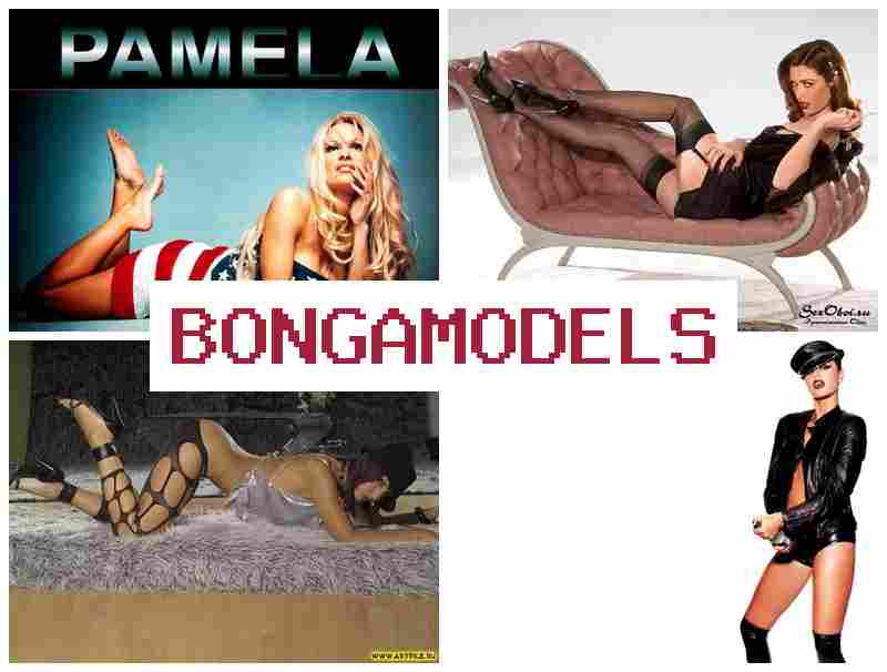 BONGA JODELS 🆒 وظيفة تقديم بث مباشر أونلاين لا تتطلب خبرة BONGA JODELS 🆒 وظيفة تقديم بث مباشر أونلاين لا تتطلب خبرة