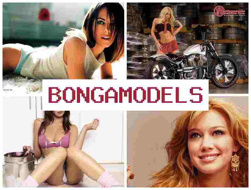 BONGA KODELS 🔶 العمل في الدردشة التفاعلية بالفيديو عبر الهاتف أو البيت