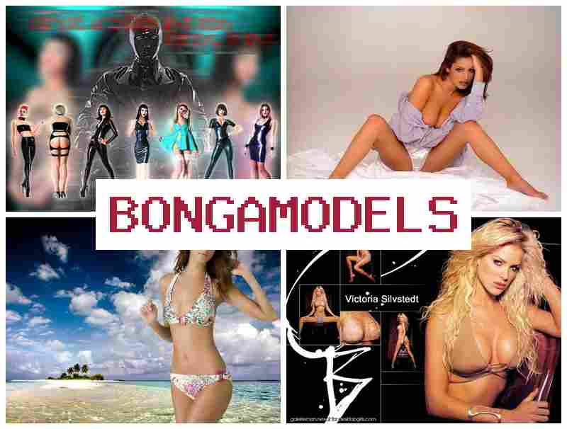 BONGA MKDELS ⚡ فرصة تقديم بث فيديو مباشر من المنزل مع أرباح مرتفعة