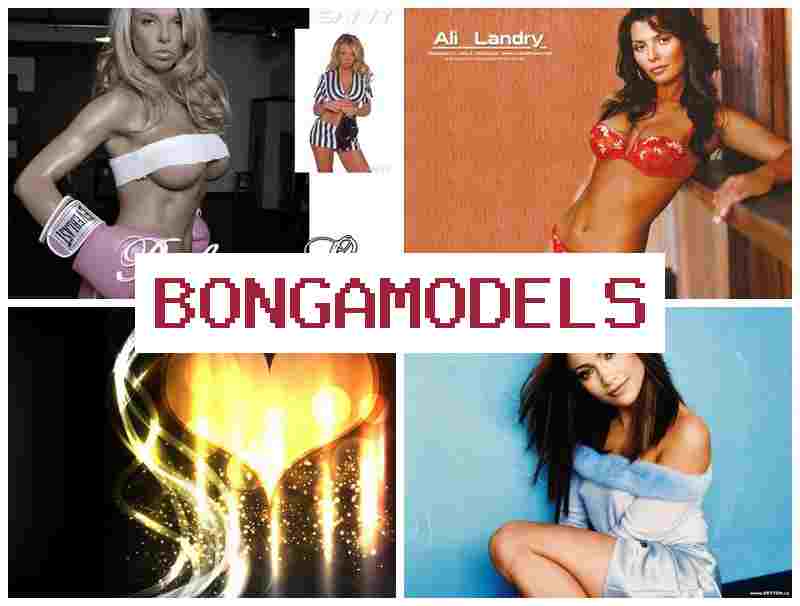 BONGA MOFELS 💲 فرصة عمل في البث عبر الكاميرا من المنزل مع دخل مجزٍ