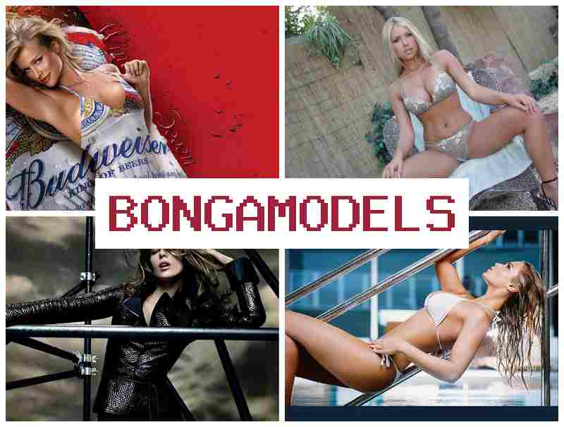 BONGAMDOELS 📷 وظيفة عارضة فيديو عبر الإنترنت مع أجر مجزٍ ودعم على مدار الساعة BONGAMDOELS 📷 وظيفة عارضة فيديو عبر الإنترنت مع أجر مجزٍ ودعم على مدار الساعة