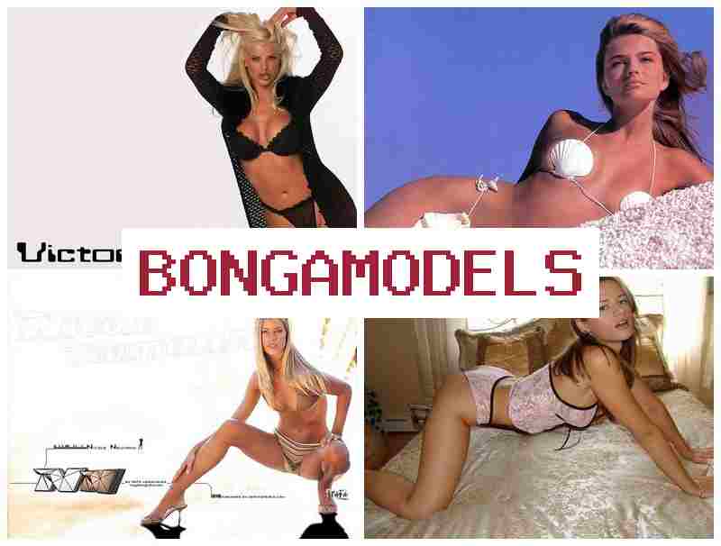 BONGAMPDELS 👩 العمل في محادثات الفيديو للمبتدئين BONGAMPDELS 👩 العمل في محادثات الفيديو للمبتدئين