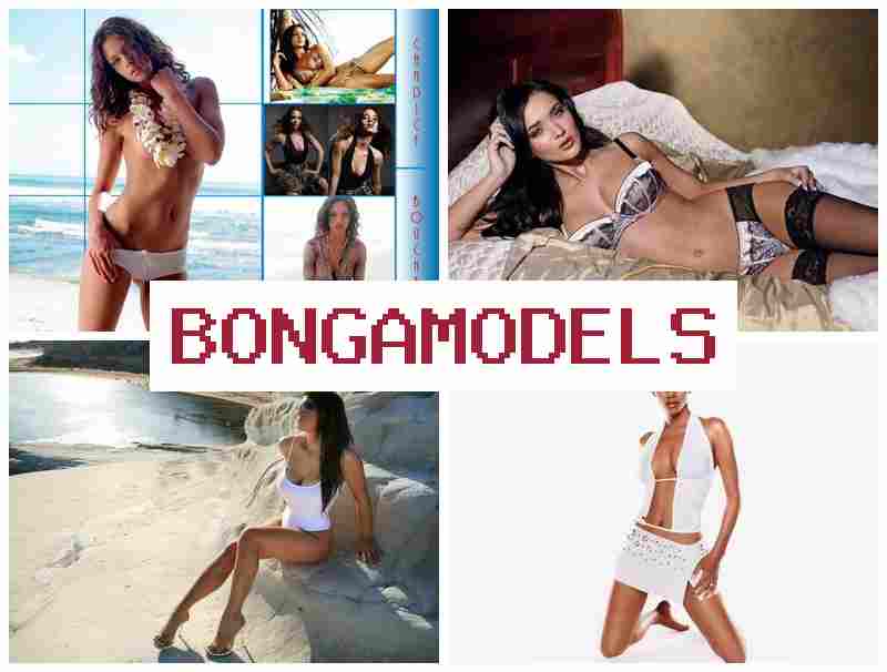 BNGAMODELS 📺 العمل في الدردشة بالفيديو أونلاين مع دعم تقني دائم