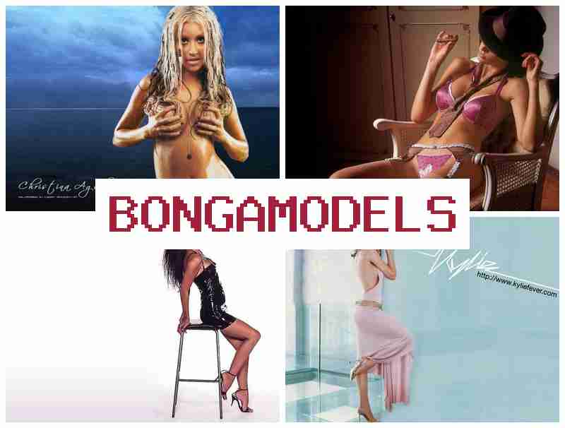 BONGAMOXELS 🎥 প্ৰশিক্ষণ সহায়ত সাপ্তাহিক পাৰিশ্রমিক লাভ কৰক