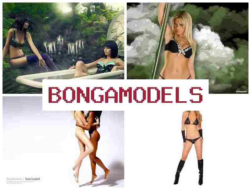 BONGA MODDLS ᐉ Rəqəmsal sahədə model işi təcrübə olmadan – qanuni əsaslarla