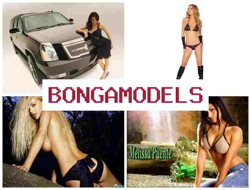 BONGOMODELS 🔵 Veb-kam üzrə vakansiya evdən, qanuni əməkdaşlıq