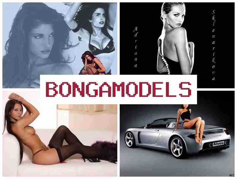 BONGO MODEL 💯 Evdə veb-kam modeli kimi iş yetkin şəxslər üçün – həftəlik qazanc BONGO MODEL 💯 Evdə veb-kam modeli kimi iş yetkin şəxslər üçün – həftəlik qazanc