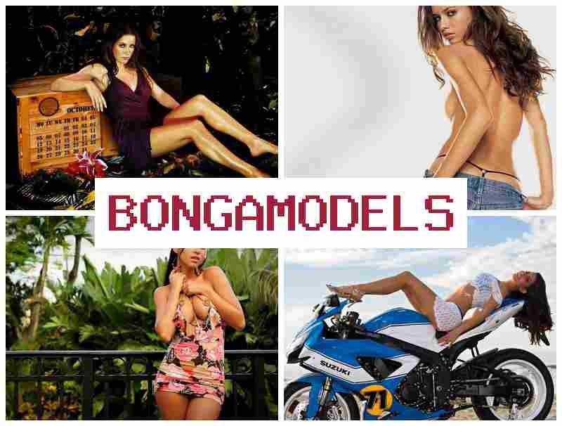 BONGA MODWLS 🔵 घर बैठे वेबकाम नौकरी स्वतंत्र समय में काम करें कानूनी और सुरक्षित