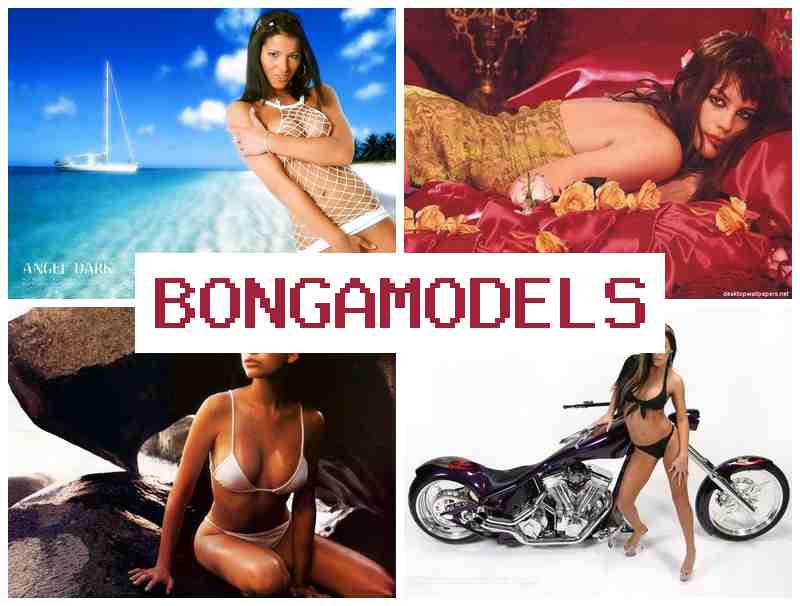 BONGA MODELA 👧 इंटरनेट पर वीडियो चैट में जुड़ें महिला और पुरुष सभी के लिए साप्ताहिक पेमेंट और 24/7 सहायता के साथ BONGA MODELA 👧 इंटरनेट पर वीडियो चैट में जुड़ें महिला और पुरुष सभी के लिए साप्ताहिक पेमेंट और 24/7 सहायता के साथ