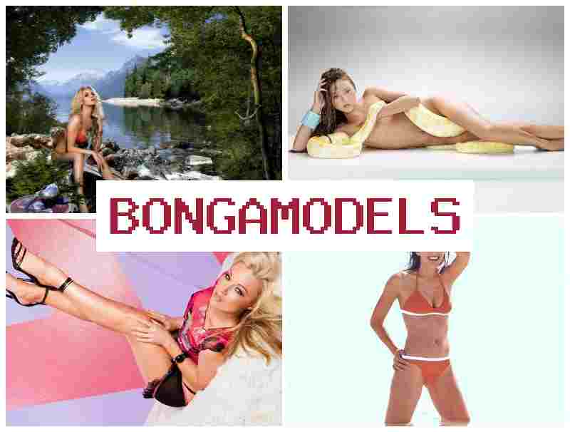 BOMGAMODELS 🌟 मोबाइल से घर बैठे कमाई पूरा समर्थन महिला और पुरुष मॉडलिंग के लिए