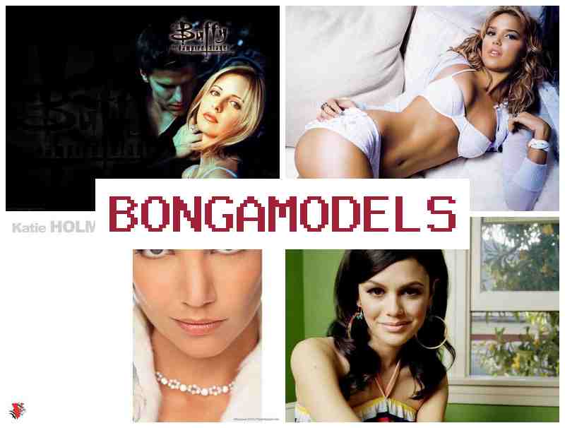 BONGAMODDLS 🌟 मोबाइल से कमाई शुरू करें अनुभव की जरूरत नहीं उच्च वेतन और सपोर्ट उपलब्ध