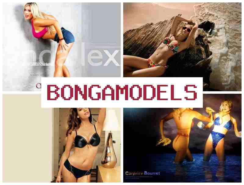 BONGA MOXELS 👍 স্বাধীন সময়সূচি সহ কাজ সাপ্তাহিক বেতন সহ, স্বাধীনতার সাথে আয়