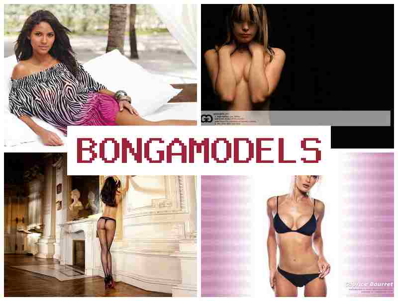 BONGAMOCELS 🌟 ইন্টারনেটে ঘরে বসে স্বাধীন ওয়েবমডেল চাকরি, ফোন থেকে কাজের সুবিধা