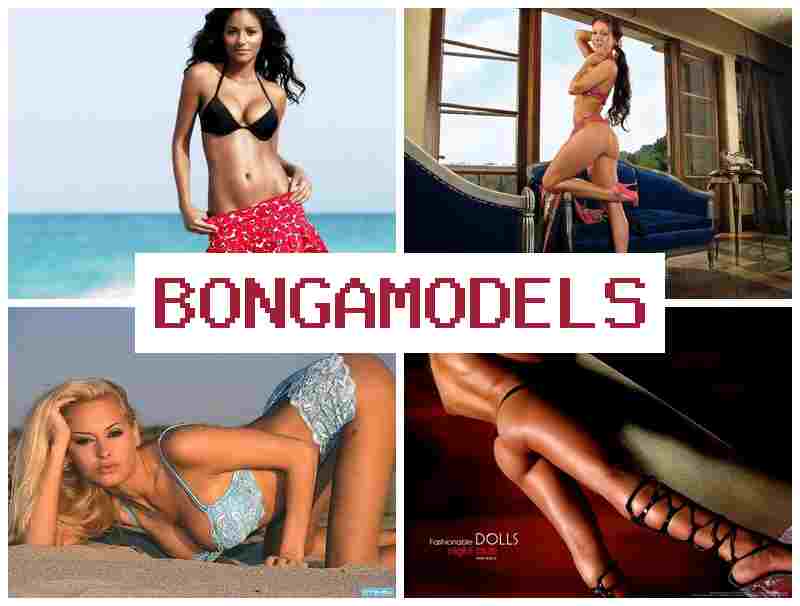 BONGA MOELS 💏 სანდო ვიდეოჩატის ონლაინ ვაკანსია, ოცდაოთხსაათიანი ონლაინ დახმარებით