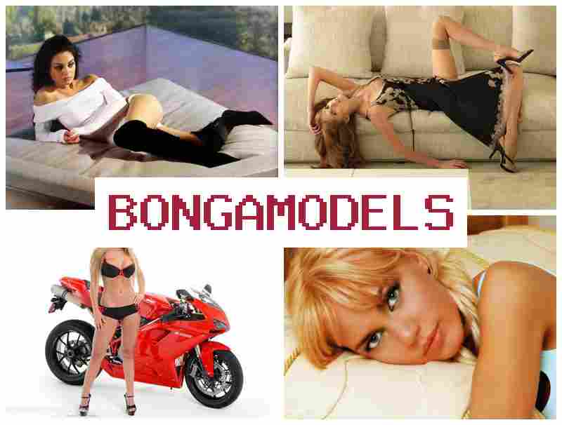 BONGA MODEELS 💰 ოფიციალური ონლაინ ჩატის მოდელის სამუშაო, მუდმივი მხარდაჭერით