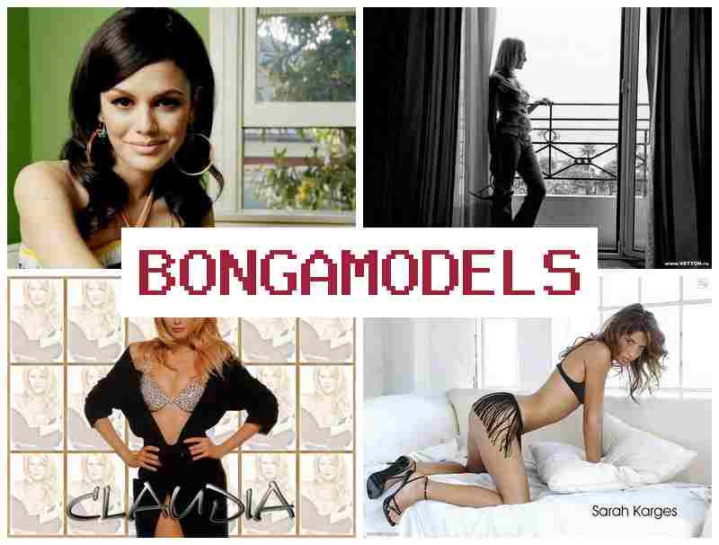 BONGA NODELS █ ლეგალური ონლაინ ჩატის მოდელის სამუშაო, მუდმივი ტექნიკური მხარდაჭერით