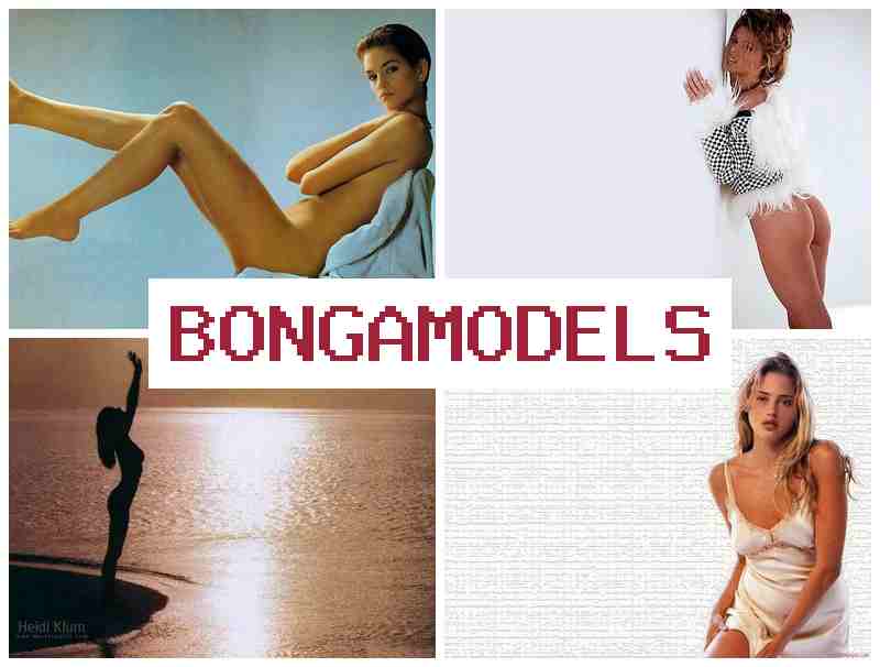 BONGA MODDLS 🎥 სანდო ონლაინ სამუშაო სახლიდან, ვიდეოჩატის მოდელებისთვის მუდმივი ტექნიკური მხარდაჭერით