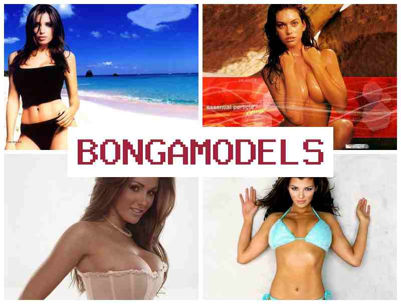 BONGA MODE;S 🔵 სახლიდან ვიდეოჩატის მოდელად მუშაობა, თავისუფალი გრაფიკით