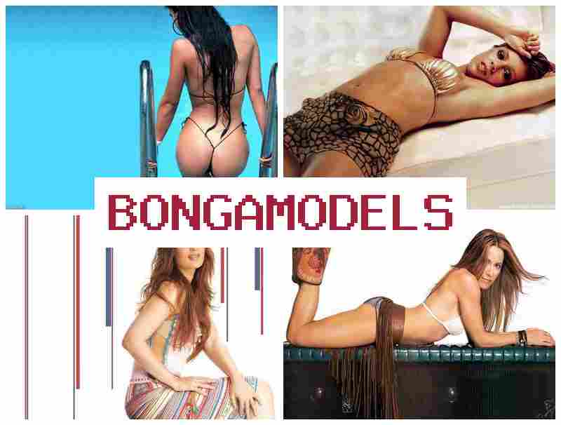 BONGAAMODELS 🎇 სანდო ონლაინ სამუშაო სახლიდან, ვიდეოჩატის მოდელებისთვის მუდმივი ტექნიკური მხარდაჭერით