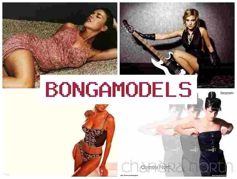 ONGAMODELS 📺 ინტერნეტ ჩატის მოდელის სამსახური, კარგი ანაზღაურებით და დისტანციური მუშაობით ONGAMODELS 📺 ინტერნეტ ჩატის მოდელის სამსახური, კარგი ანაზღაურებით და დისტანციური მუშაობით