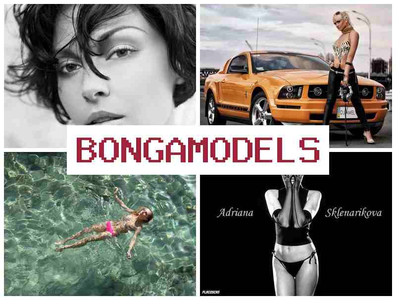 BONGA MDELS 🔔 ಫೋನ್ನಿಂದಲೇ ಲಿಂಗ ಭೇದವಿಲ್ಲದೆ ವೆಬ್ಕ್ಯಾಮ್ ಉದ್ಯೋಗ, ಸ್ವತಂತ್ರ ಕಾರ್ಯ ನಿರ್ವಹಣೆ BONGA MDELS 🔔 ಫೋನ್ನಿಂದಲೇ ಲಿಂಗ ಭೇದವಿಲ್ಲದೆ ವೆಬ್ಕ್ಯಾಮ್ ಉದ್ಯೋಗ, ಸ್ವತಂತ್ರ ಕಾರ್ಯ ನಿರ್ವಹಣೆ