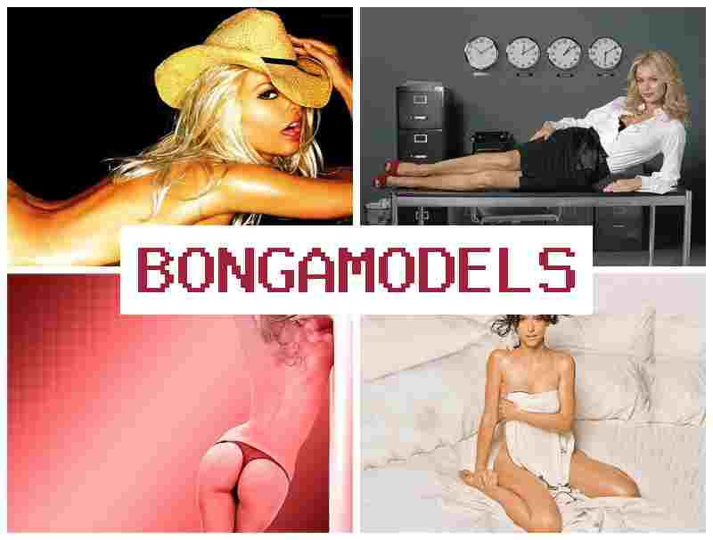 OBNGA MODELS 💻 ತಂಡದೊಂದಿಗೆ ಫೋನ್ ಮೂಲಕ ಕಾರ್ಯನಿರ್ವಹಿಸಲು ಅವಕಾಶವಿರುವ ವೆಬ್‌ಮೋಡೆಲ್ ಕೆಲಸ, ಮಾಹಿತಿ ಬೆಂಬಲ 24/7