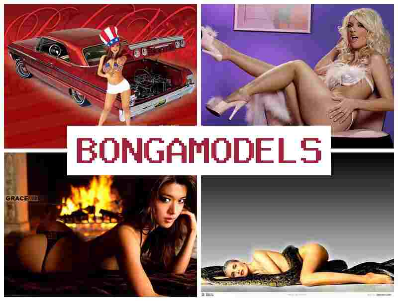 ONGA MODELS 🔺 युवा पीढ़ी लेल शुरुआती स्तर मोबाइल सं वेबकैम जॉब।