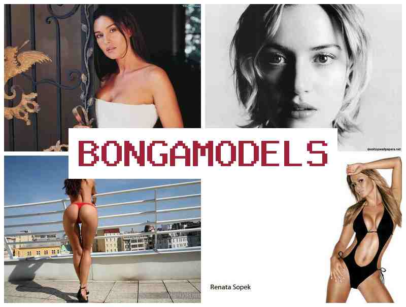 BONGAMODWLS 💑 സ്ത്രീകൾക്കും പുരുഷന്മാർക്കും ഒരുപോലെ തുടക്കക്കാർക്ക് പറ്റിയ ജോലി. BONGAMODWLS 💑 സ്ത്രീകൾക്കും പുരുഷന്മാർക്കും ഒരുപോലെ തുടക്കക്കാർക്ക് പറ്റിയ ജോലി.