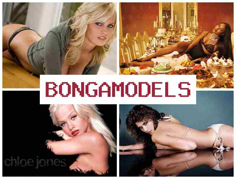 VONGA MODELS █ Menjadi model live profesional dengan pengaturan sendiri dan support terus-menerus VONGA MODELS █ Menjadi model live profesional dengan pengaturan sendiri dan support terus-menerus