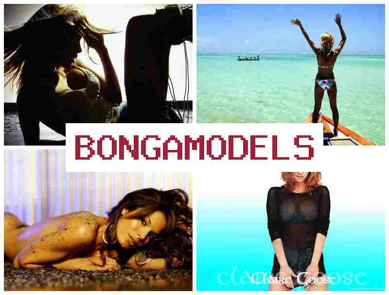 BONGA NODELS 👍 Model internet dari rumah untuk siapa saja dengan penghasilan stabil BONGA NODELS 👍 Model internet dari rumah untuk siapa saja dengan penghasilan stabil