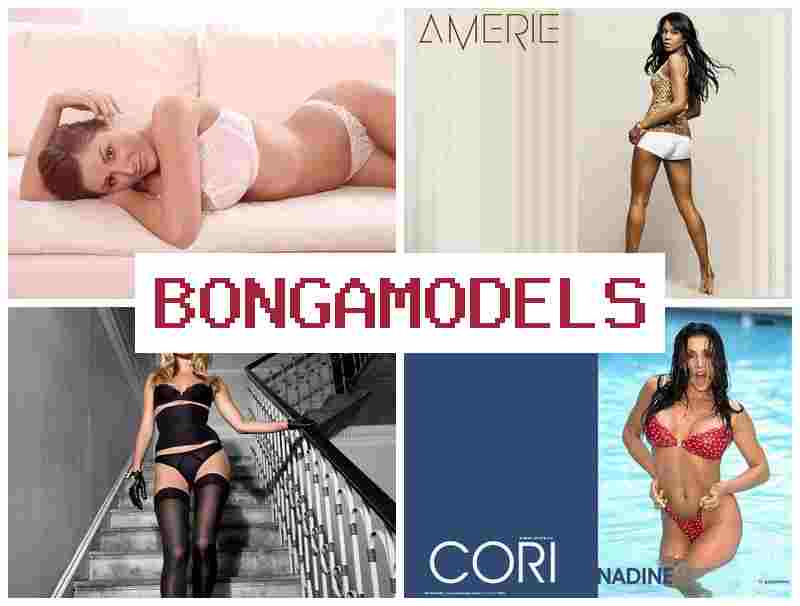 BONGAMODEL 🔶 Kerja sebagai model video di lokasi anda dengan pendapatan stabil serta bantuan teknikal rund um die Uhr BONGAMODEL 🔶 Kerja sebagai model video di lokasi anda dengan pendapatan stabil serta bantuan teknikal rund um die Uhr