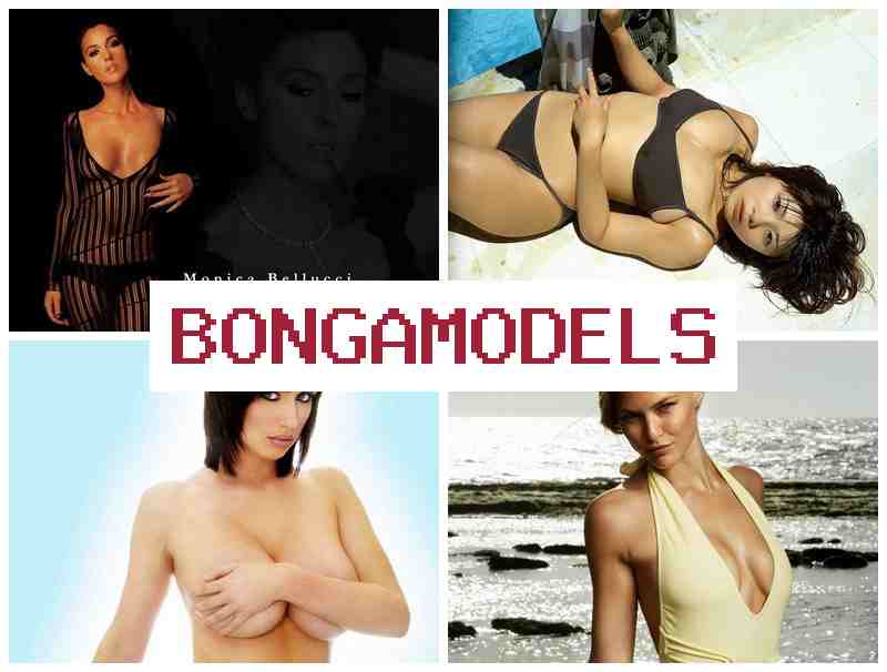 BONGA MODRLS 💵 Kerja online mudah dengan pengaturan waktu bebas dan sokongan teknikal 24/7