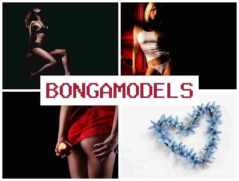 B0NGAMODELS ᐉ Model webcam profesional di rumah untuk siapa saja dengan penghasilan tinggi