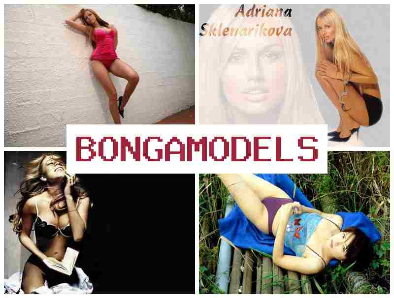 BONGAMOXELS 💸 Sertai sebagai model webcam di rumah, dengan sokongan teknikal 24 jam dan pendapatan lumayan setiap minggu