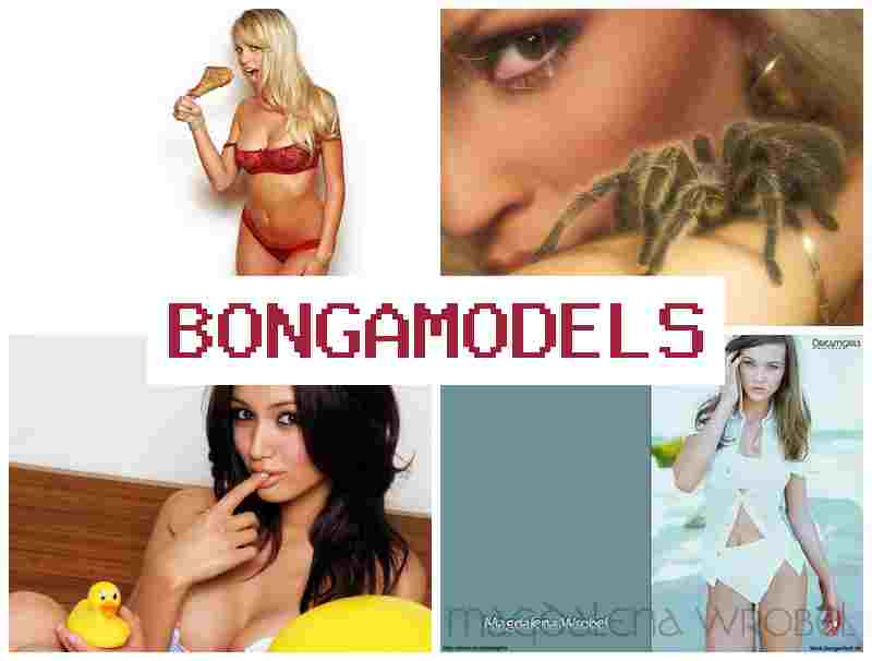 BONGA MLDELS 💲 कानुनी अनलाइन मोडलिङ काम, २४/७ सहयोग र लचिलो समय सहित।