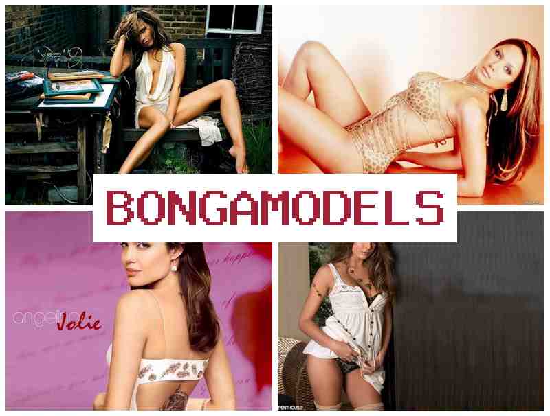 BONGO MODELS 📺 सजिलो अनलाइन अनलाइन संवाद मोडेल काम, निरन्तर सहयोग