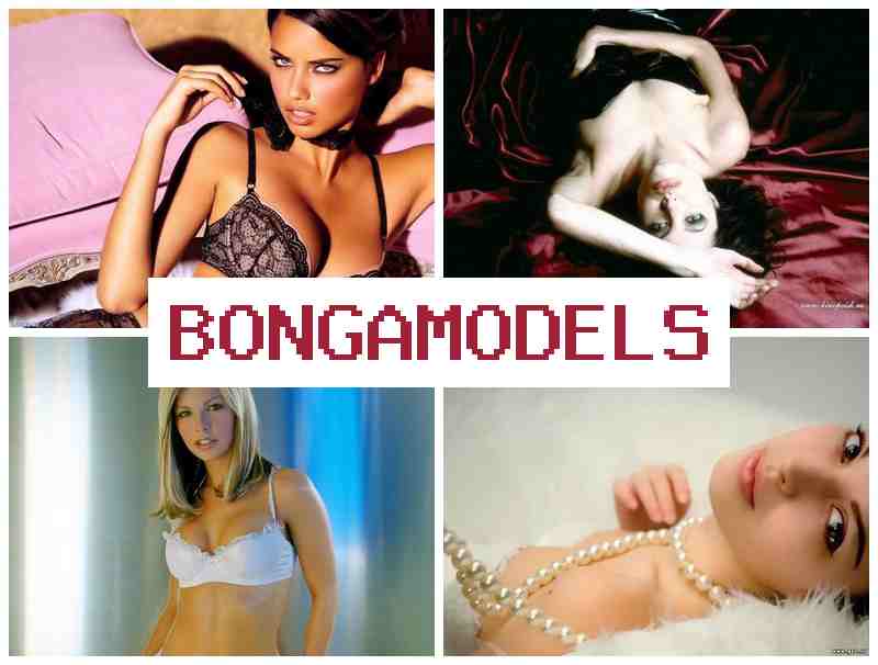 BONGO MODEL 🔵 इन्टरनेटमार्फत भिडियो संवाद मोडेल काम, साप्ताहिक भुक्तानी