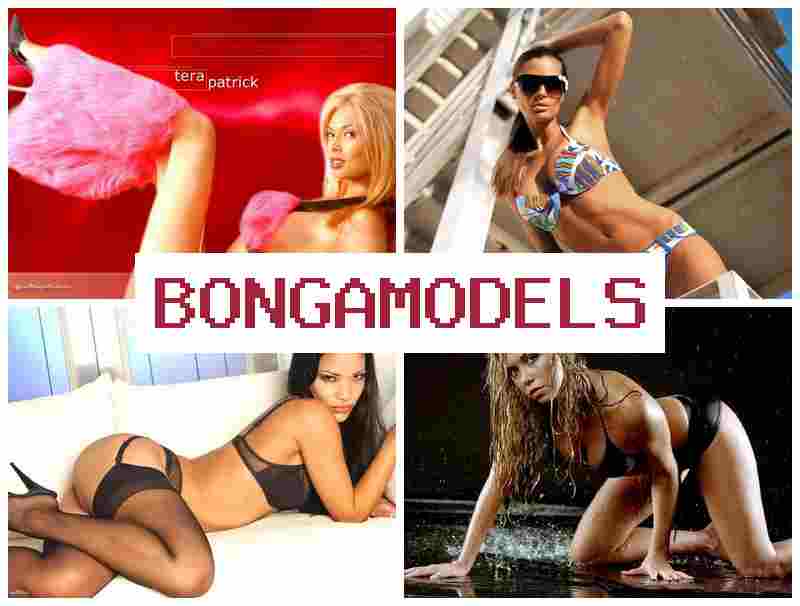 BONGAMOFELS 💷 सजिलो अनलाइन इन्टरनेट प्रस्तोता काम, निरन्तर सहयोग