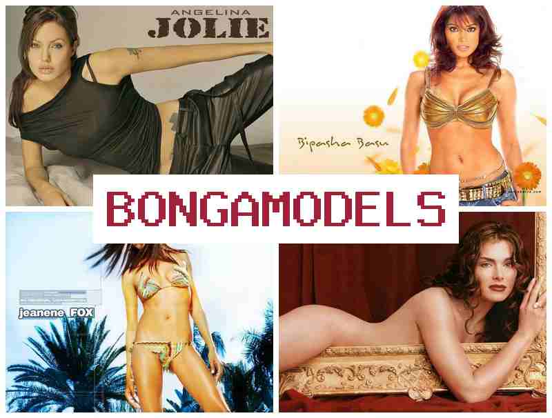 BONGAMOXELS 🔵 Wasimanta video chat llamk'ay tukuy runapaq, hatun qullqi