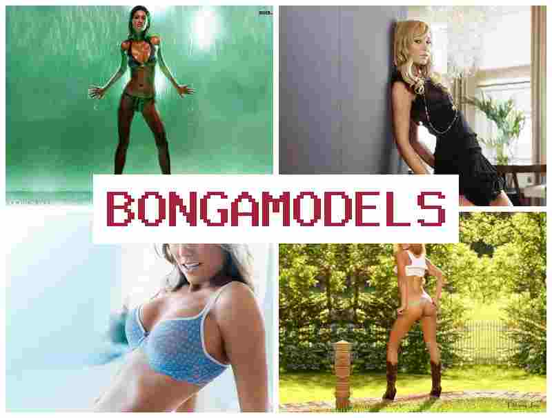 BONGA MOEDLS ✔️ 24/7 තාක්ෂණික සහාය සහිත ස්වෛරී වෙබ් කැම් රැකියාව, අත්විඳින්න.